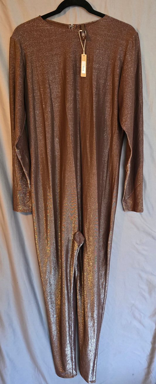 SKIMS SHIMMER CATSUIT JUMPSUIT